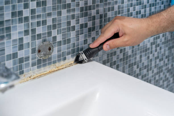 Best Mold Removal Process  in Itta Bena, MS